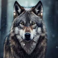 lonely_wolf