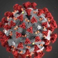 Virus Corona